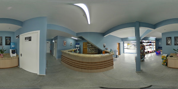 Foto 1 CLÍNICA VETERINÁRIA 24H- VET SOCORRO PINHEIRINHO