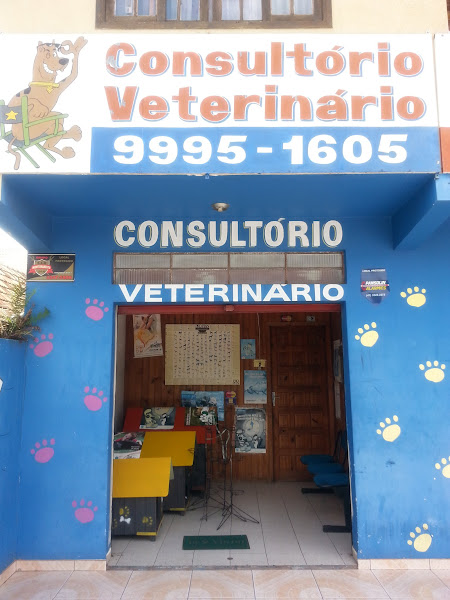 Foto 1 Zooclin Aviário e Consultório Veterinário