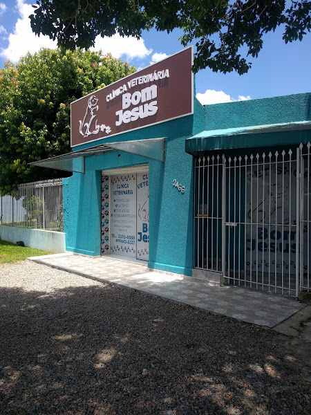 Foto 3 Bom Jesus Clínica Veterinária