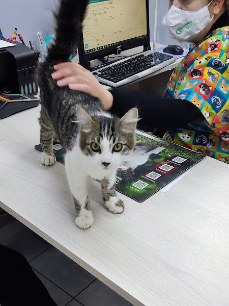 Consultório de Veterinária Dra Marilize Furtado