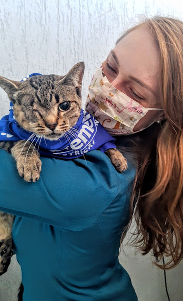 Foto 2 Dra.Gatos - Atendimento veterinário exclusivo para gatos em domicílio