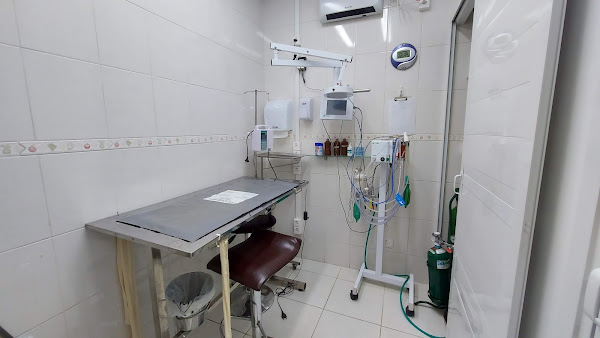 Foto 3 SantoPet - Clínica Veterinária 24 horas Foto 3 SantoPet - Clínica Veterinária 24 horas