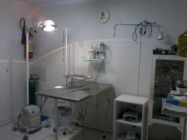 Foto 5 CLÍNICA VETERINÁRIA PET VET