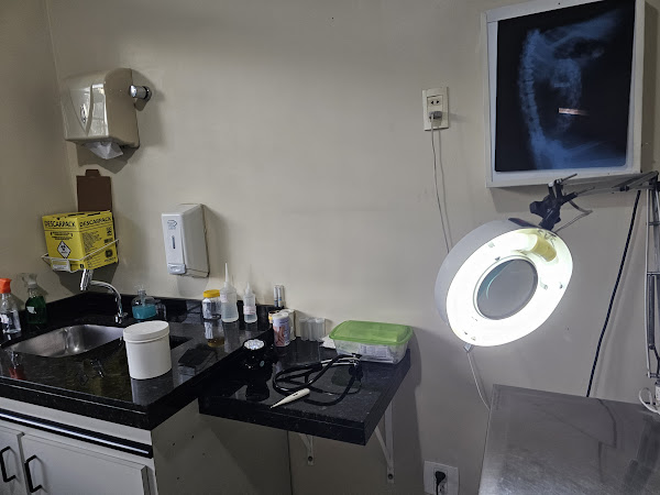 Foto 2 HOSPITAL VETERINARIO PRONTOVET