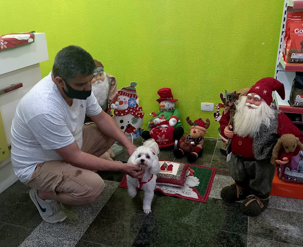 Foto 4 Clínica Veterinária Animal Life