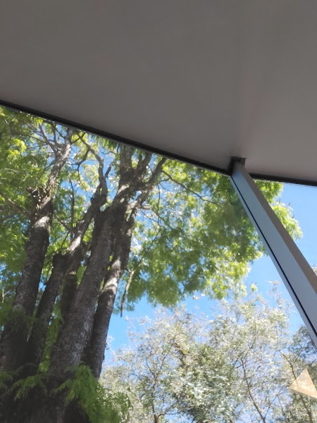 Foto 2 Centro de Imagem Veterinária