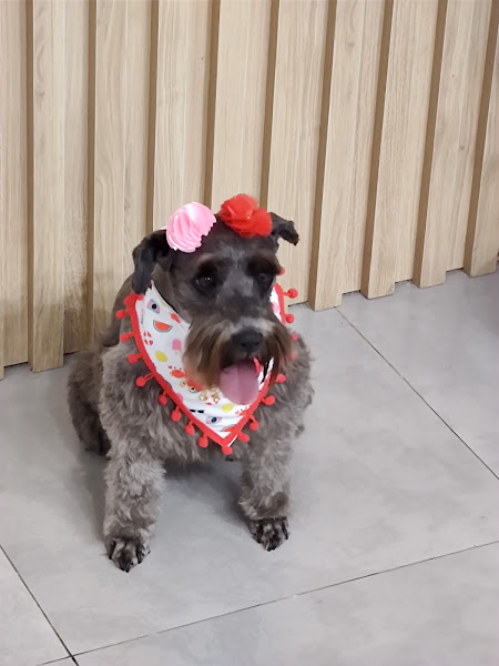 Garden Clínica Veterinária