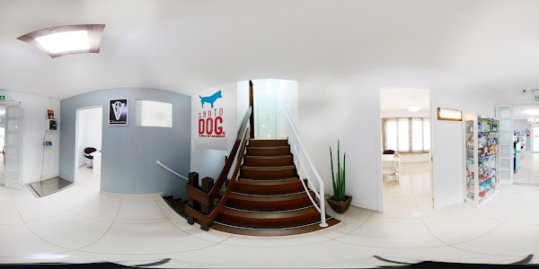 Foto 3 Clínica Veterinária Santo Dog 24 Horas - Cristo Rei