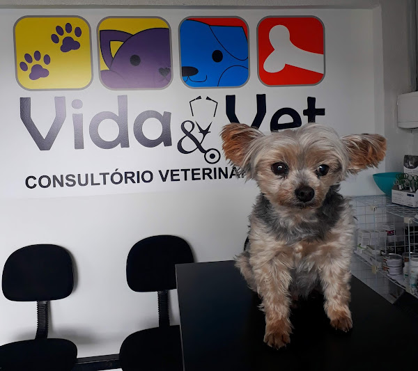 Foto 2 Vida&Vet Consultório Veterinário