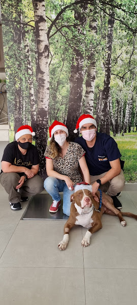 Foto 1 Inove Saúde Animal