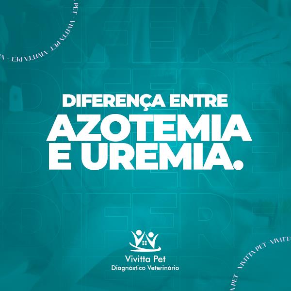 Foto 1 Vivitta Pet Diagnóstico Veterinário - Curitiba