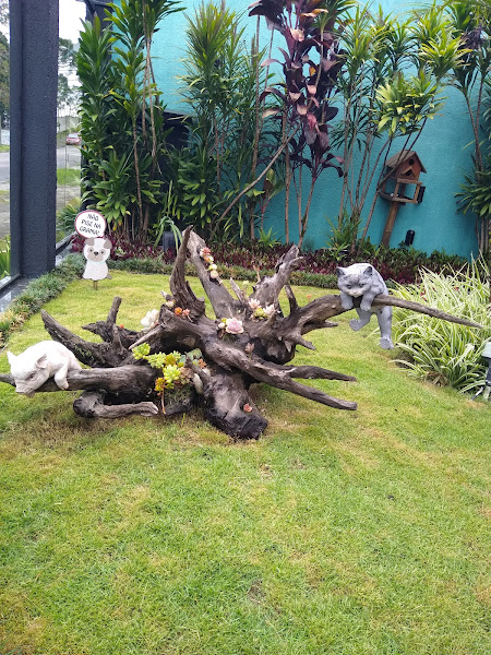 Clínica veterinária Heróis de Quatro Patas