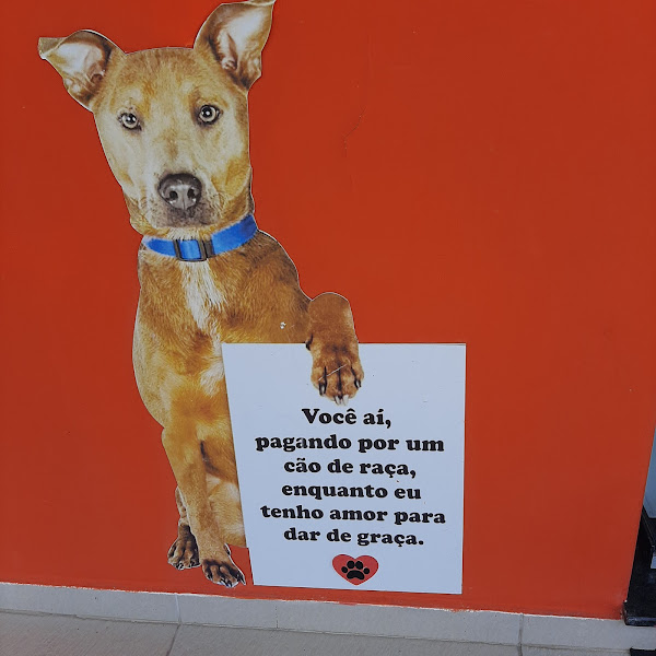 Foto 2 Clínica veterinária Heróis de Quatro Patas