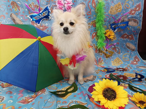 Vet Center Champagnat