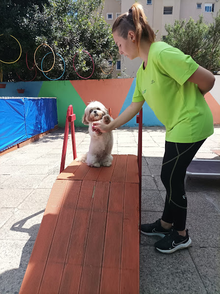 Foto 1 Vet Center Champagnat