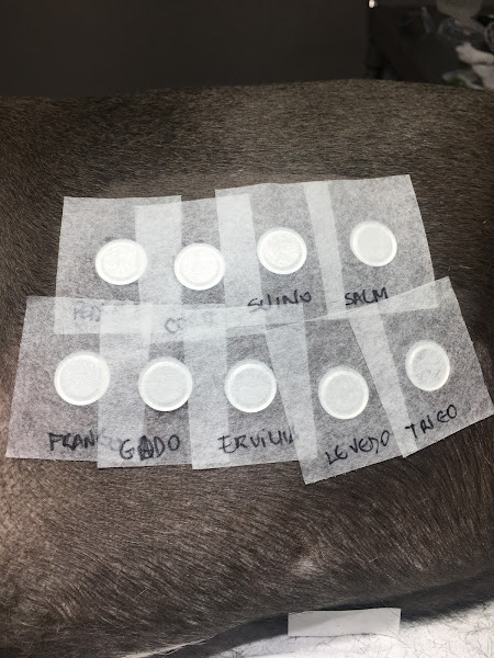 Foto 1 Dra. Andreia VetDerm - Dermatologia e alergia veterinária