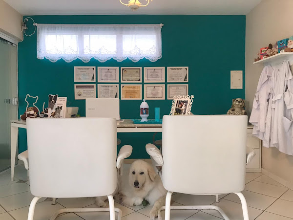 Foto 1 Puppies Personal Vet