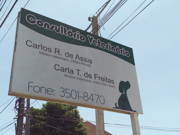 Foto 1 Consultório Veterinário