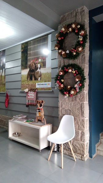 Foto 1 Instituto Fica Comigo