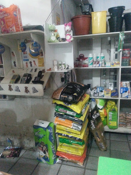 Foto 2 Aviário Azulão