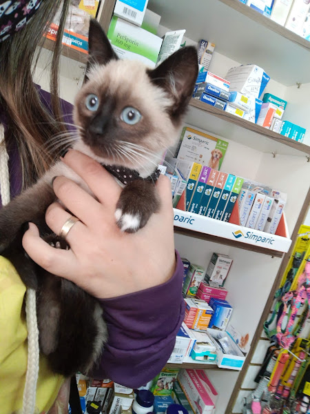 Foto 1 Aviário Noronha