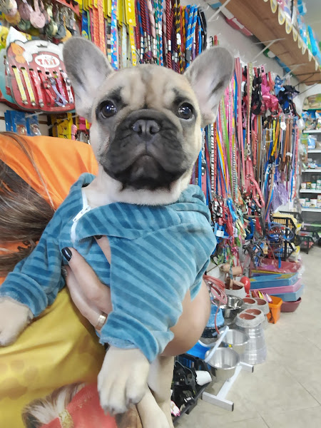 Foto 2 Aviário Noronha