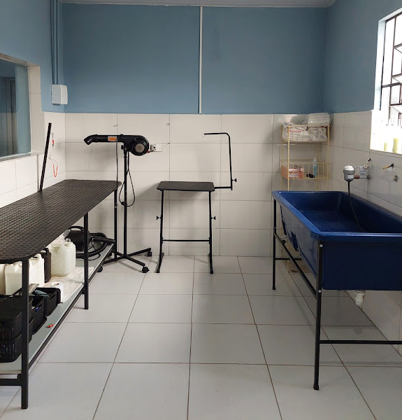 Foto 1 Bicho Mania Pet Shop e Aviário