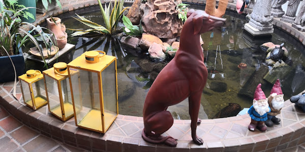 Foto 1 Adestramento de Cães em Domicílio