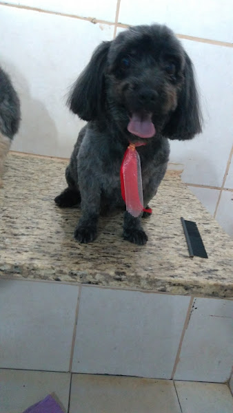 Foto 3 Agropecuária Agrovilla