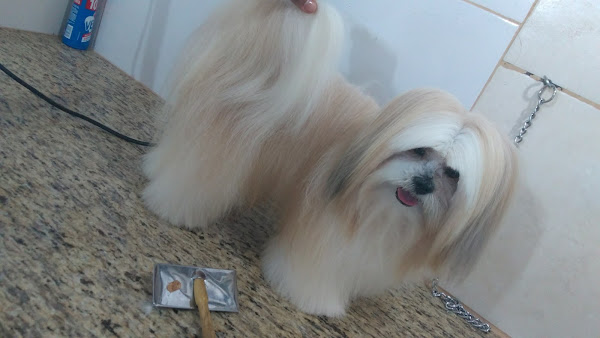 Foto 4 Agropecuária Agrovilla