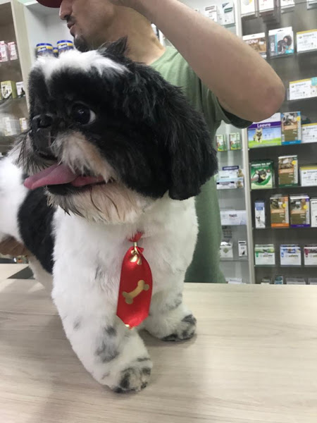 Foto 3 Agropop Pet Center Foto 3 Agropop Pet Center