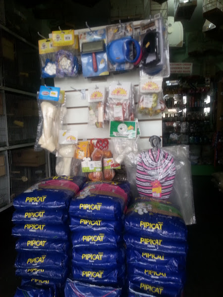 Foto 2 Avicultura Recanto dos Pássaros