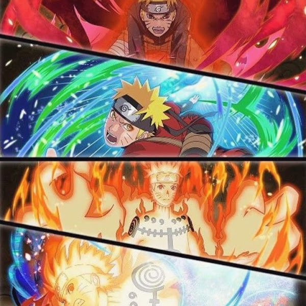 Foto 3 Avicultura Recanto dos Pássaros Foto 3 Avicultura Recanto dos Pássaros