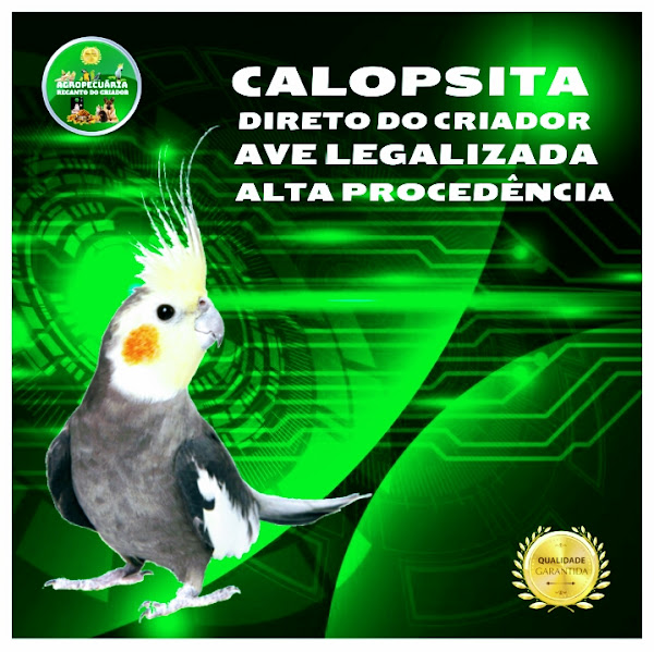 Foto 3 Agropecuária Recanto do Criador Foto 3 Agropecuária Recanto do Criador