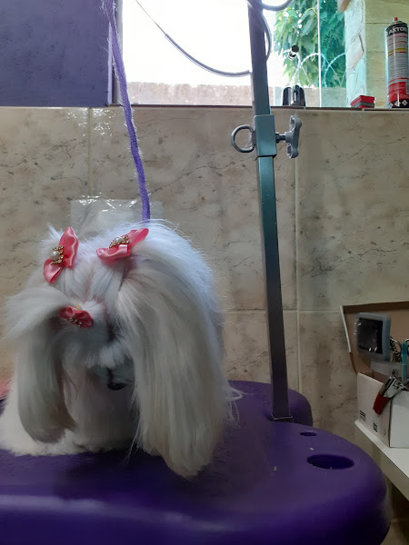 Foto 1 BECA DECA RAÇÕES