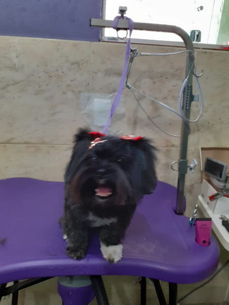 Foto 2 BECA DECA RAÇÕES