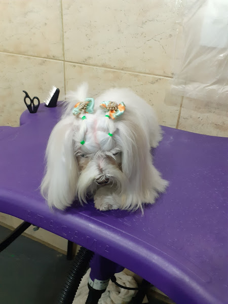 Foto 4 BECA DECA RAÇÕES