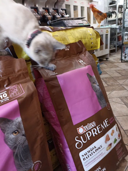 Foto 2 Casa de Ração Pinheiro