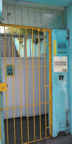 Foto 3 Auau Creche Canina