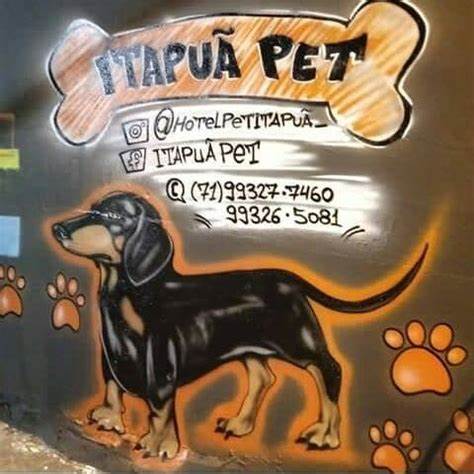 Foto 2 Itapuã Pet Foto 2 Itapuã Pet