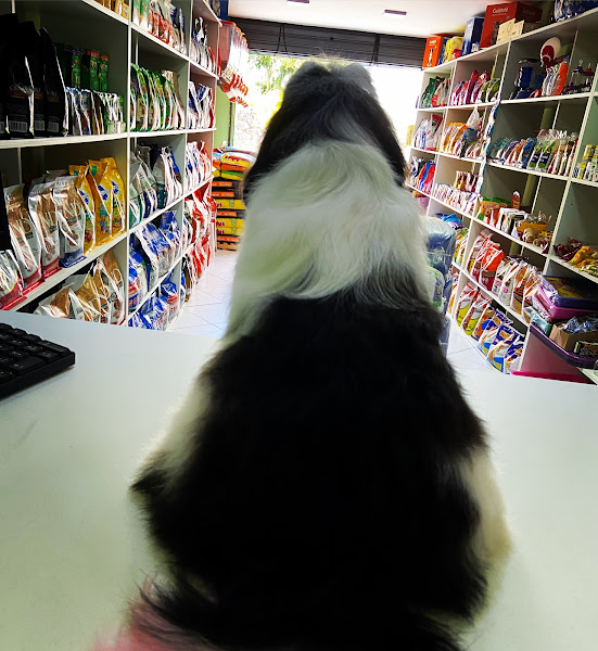 Foto 1 Raio X Rações Pet Shop