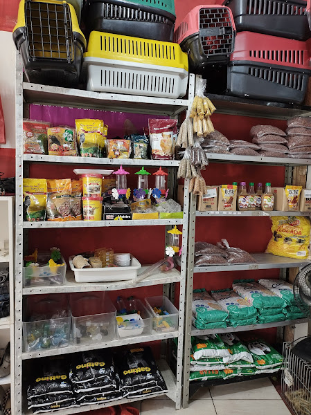 Foto 3 Filho Que Amo Rações