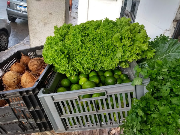 Pet e Rações pet shop Pet e Rações pet shop