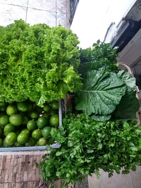 Foto 1 Pet e Rações pet shop