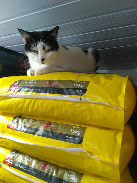 Foto 1 D'marques rações