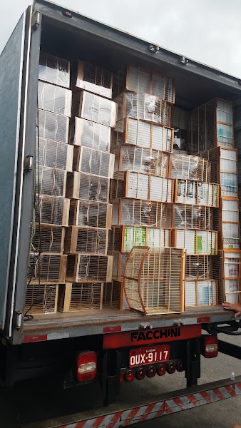 Foto 6 Almeida Rações