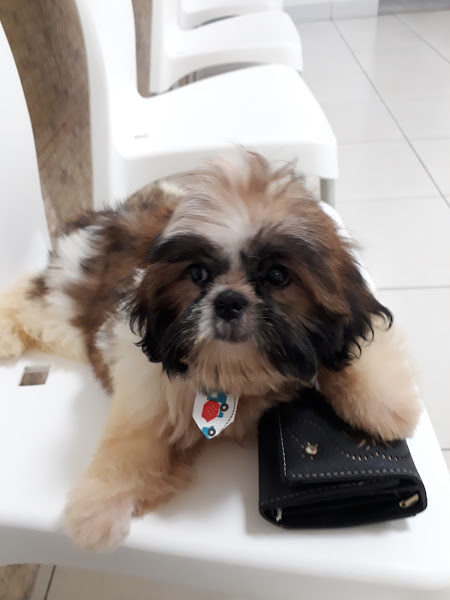 Foto 4 Agromix Brotas