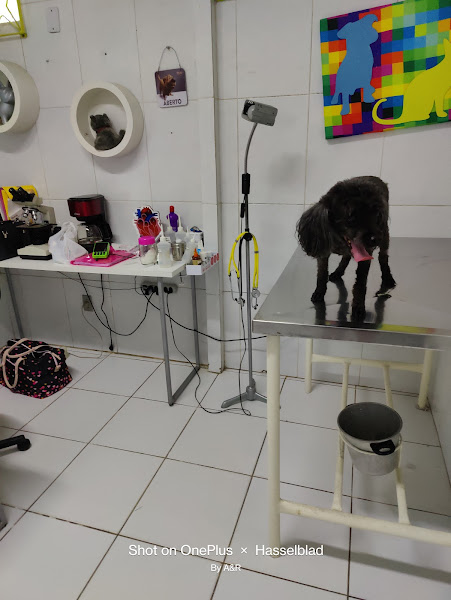 Foto 1 Pet Shop Aquidabã