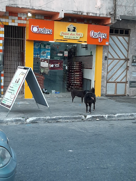 Point dos Pets Point dos Pets