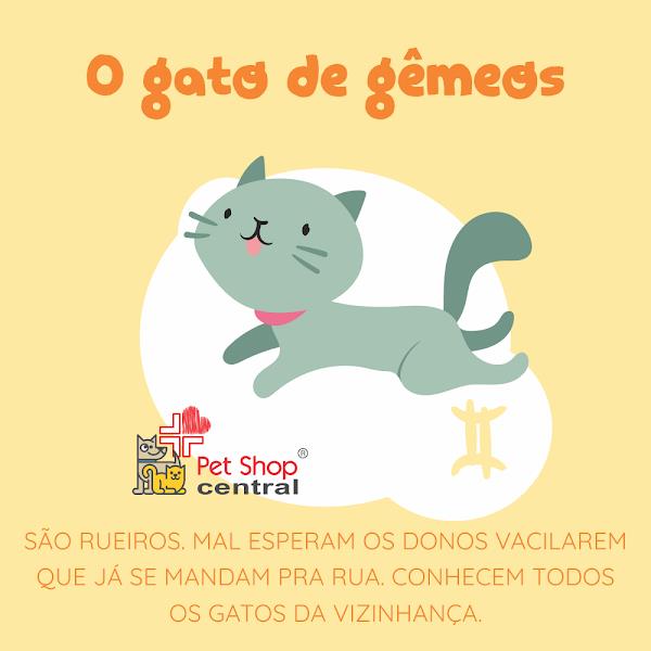 Foto 3 Pet Shop Central e Clínica 24 horas - Nazaré, Centro,Campo Grande